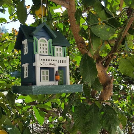 Casa Vacanze Darena Tortoreto Ngoại thất bức ảnh